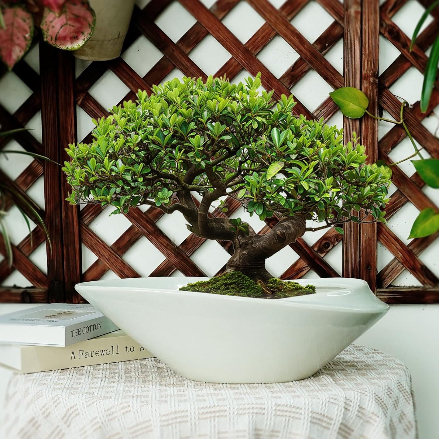 18 Inch Ceramic Bonsai Planter Pot with Drainage Hole, Glazed Large Plant Pot Succulent Planter for Indoor and Outdoor Plants Gray