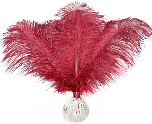 Happy Feather 16-18 inch Wine Rde Ostrich Feathers Craft for Wedding Party Centerpieces Home Decoration DIY Craft Pack of 10