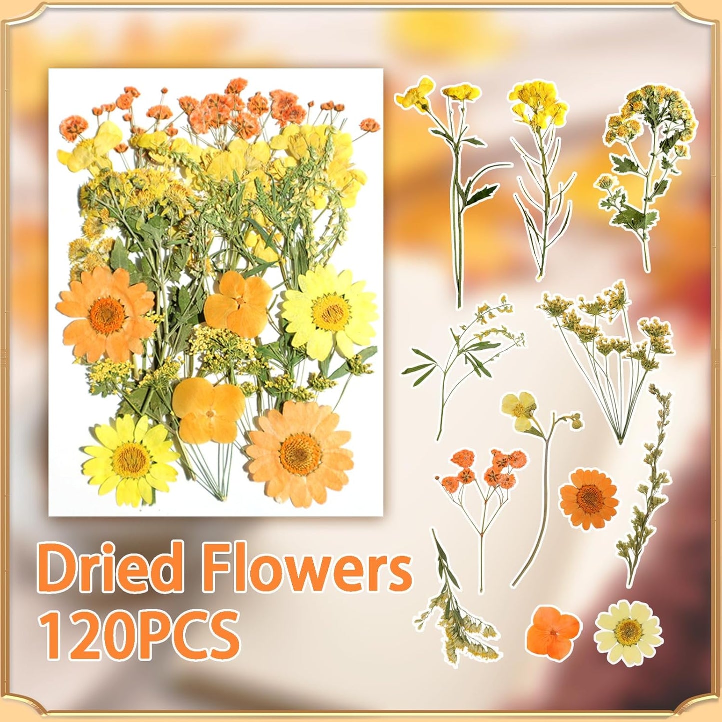 120Pcs Dried Pressed Flowers for Resin Mould Dry Flower Real Leaves Bulk with Tweezers Natural Herbs Kit for Scrapbooking DIY Art Crafts Candle Jewelry Making Nails Floral Decoration(Multicolor)