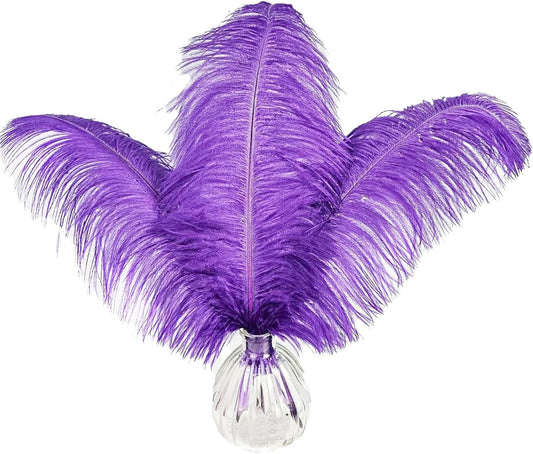 Happy Feather 16-18 inch Purple Ostrich Feathers Craft for Wedding Party Centerpieces Home Decoration DIY Craft Pack of 10