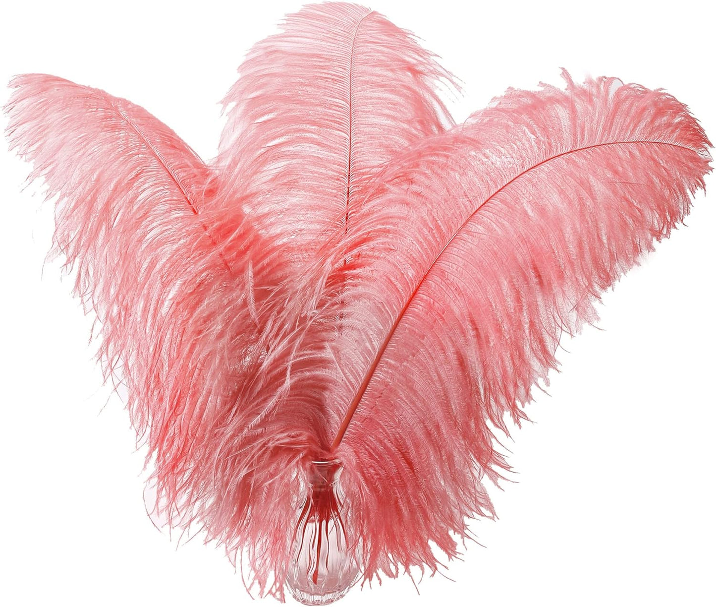 Larryhot Red Large Ostrich Feathers - 10pcs Feathers for Vase Decoration,Wedding Party Centerpieces and Home Decorations (Sunset Red)