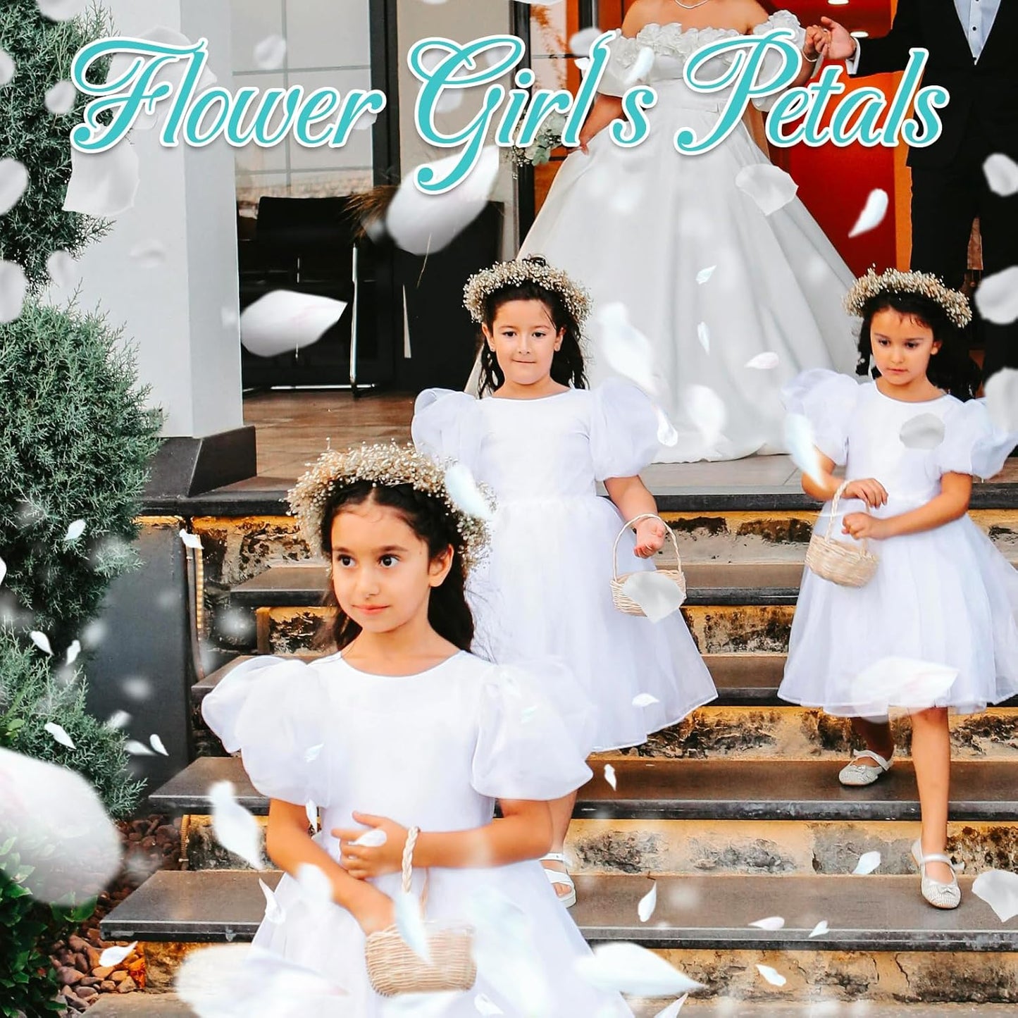 Real Dried Ivory White Rose Petals, Frozen Preserved Petals for, Wedding Party Decorations, Bio Confetti, Table Centerpieces, Bridal Shower, 1.58 oz / 45 g