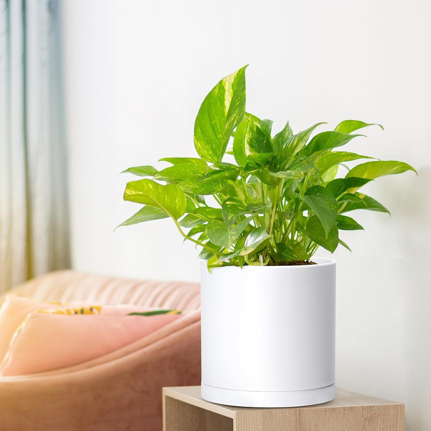 D'vine Dev 4 Pack 6.5 Inch Modern Plastic Plant Pots, Small Garden Planters for Plant with Drainage Holes and Saucers, White Color, 74-Z-L-2