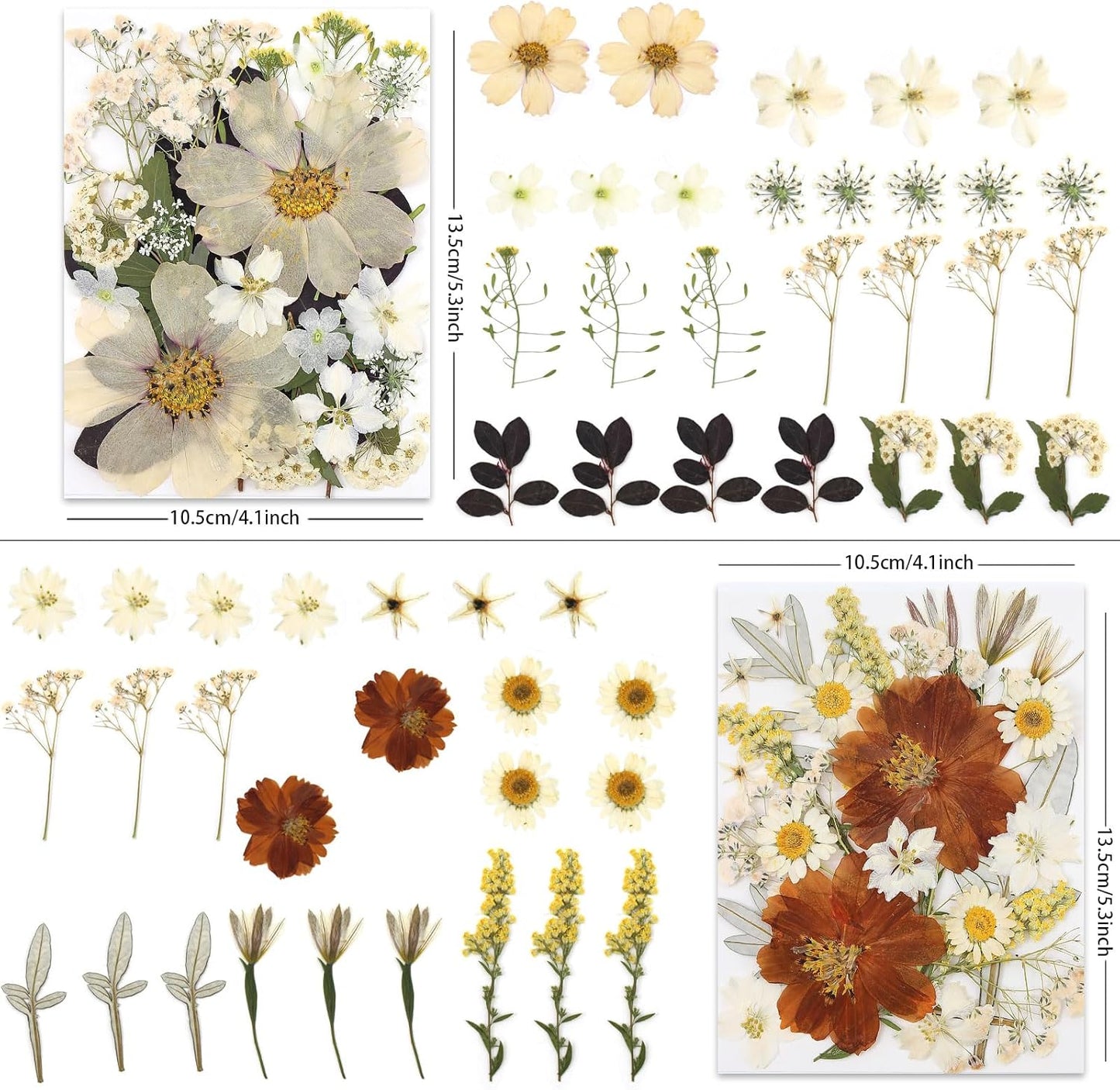 100P Vintage White Dried Flowers for Crafts, Real Natural Pressed Flowers in Retro White Tones for Resin Art, DIY Crafts, Jewelry & Candle Decor – Tweezers Included