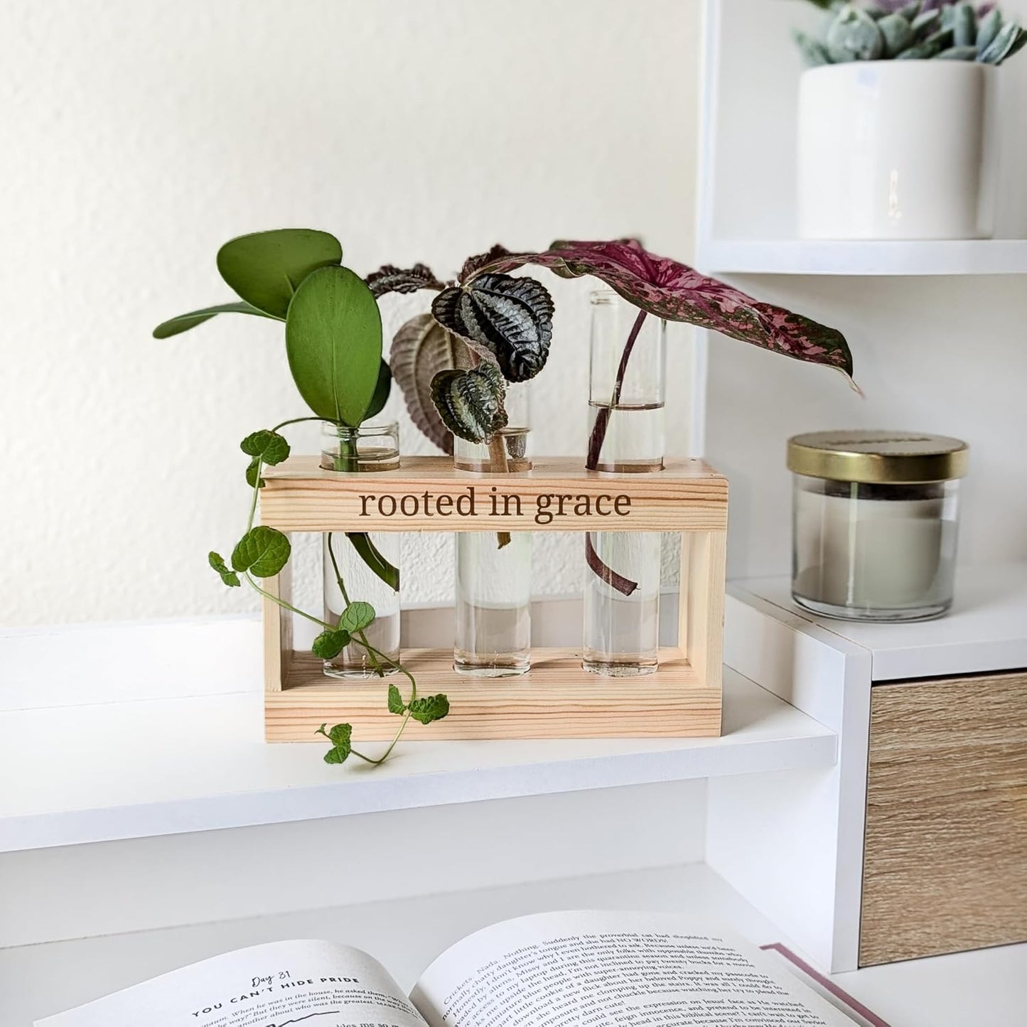 Rooted in Grace: Plant Propagation Stations: Plant Cutting Holder w/ 3 Glass Propagation Vases, Unique & Encouraging Christian Gifts for Women, Faith-Inspired Home Decor