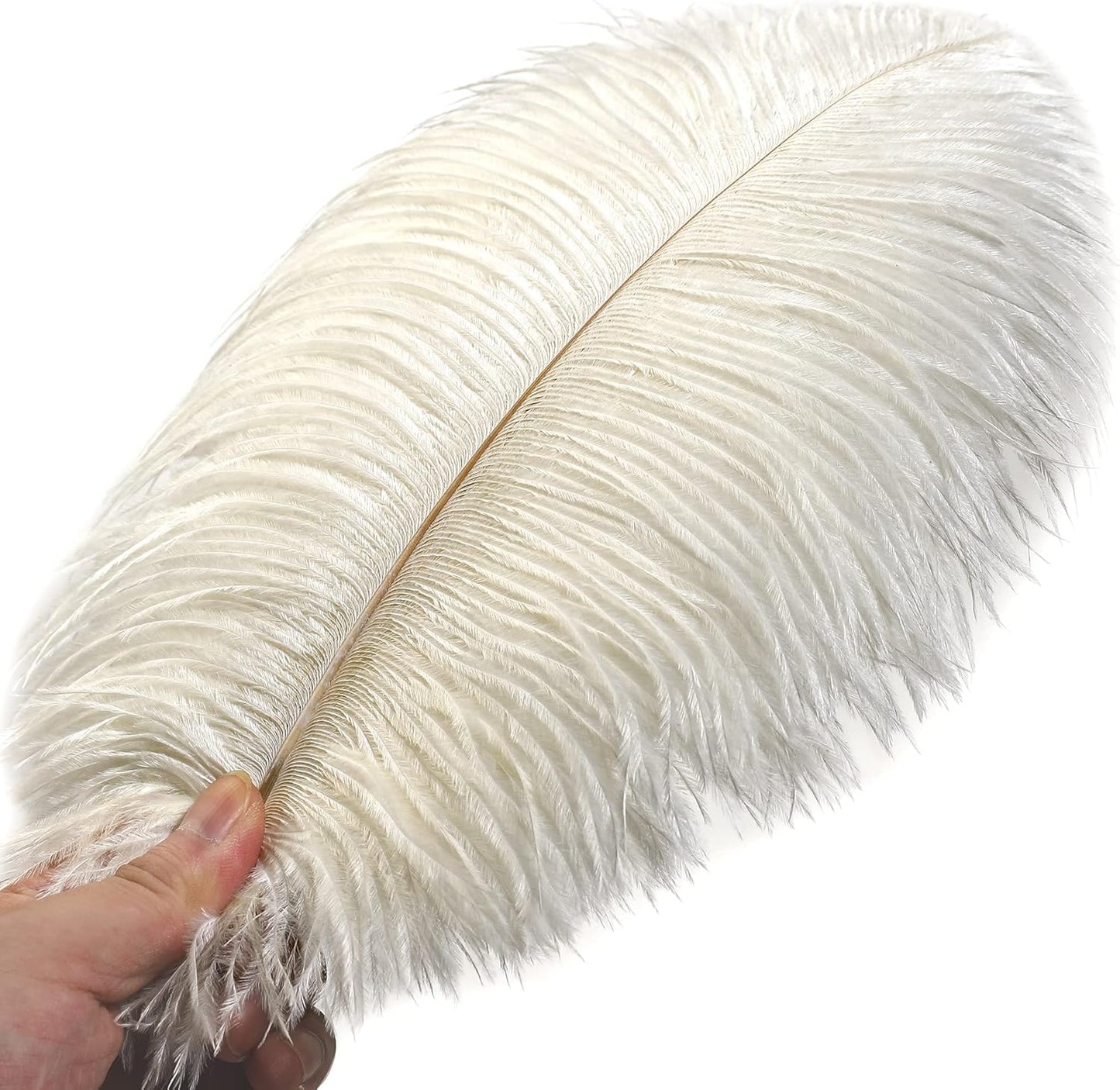 Ballinger Beige Big Ostrich Feathers - 12Pcs 14-16inch Large Ostrich Feathers for Vase,Wedding Party Centerpieces and Holiday Home Decor
