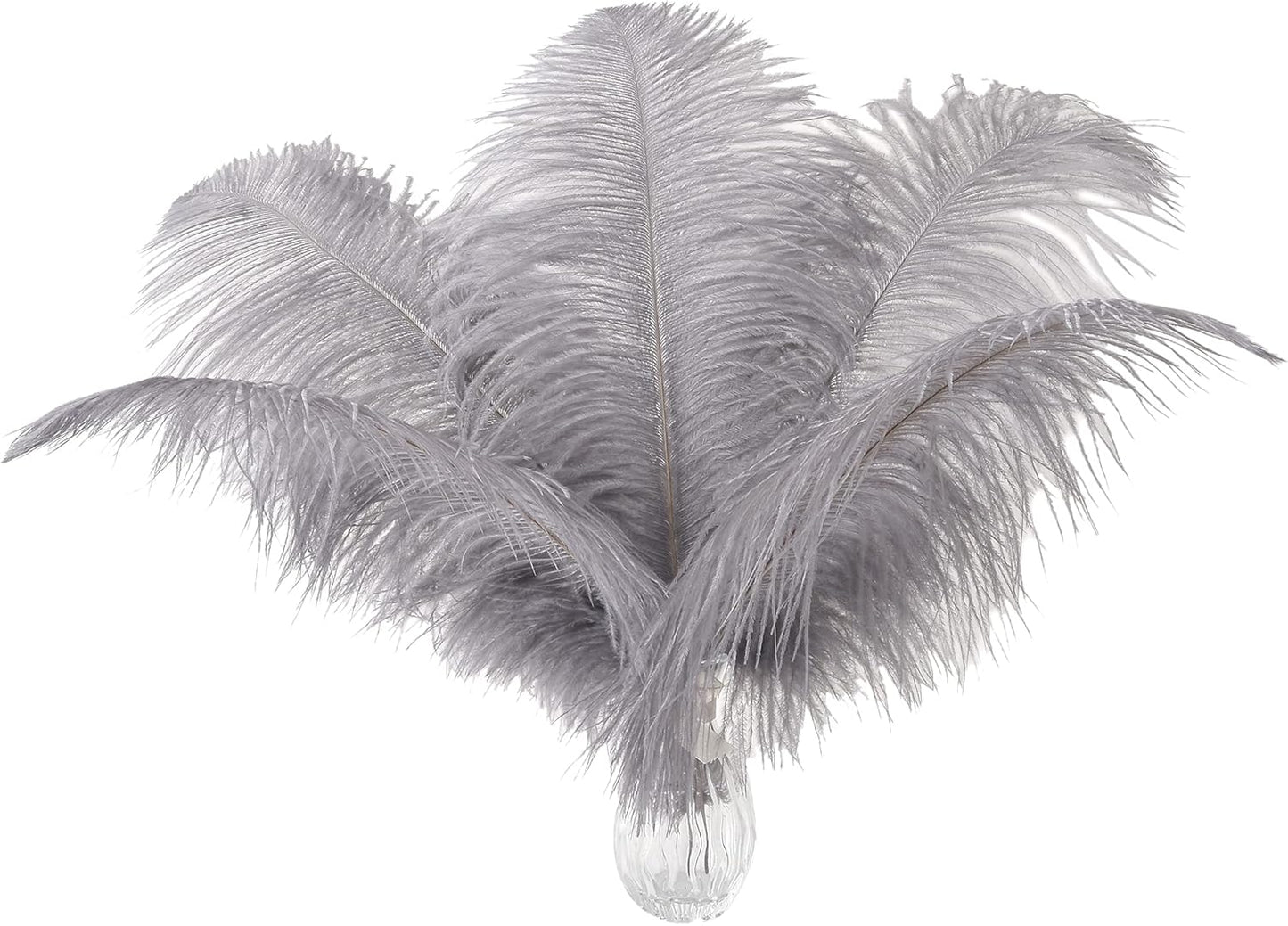 Ballinger Natural Gray Ostrich Feathers - 24pcs 12-14inch Big Feathers for Wedding Party Centerpieces Home Decor