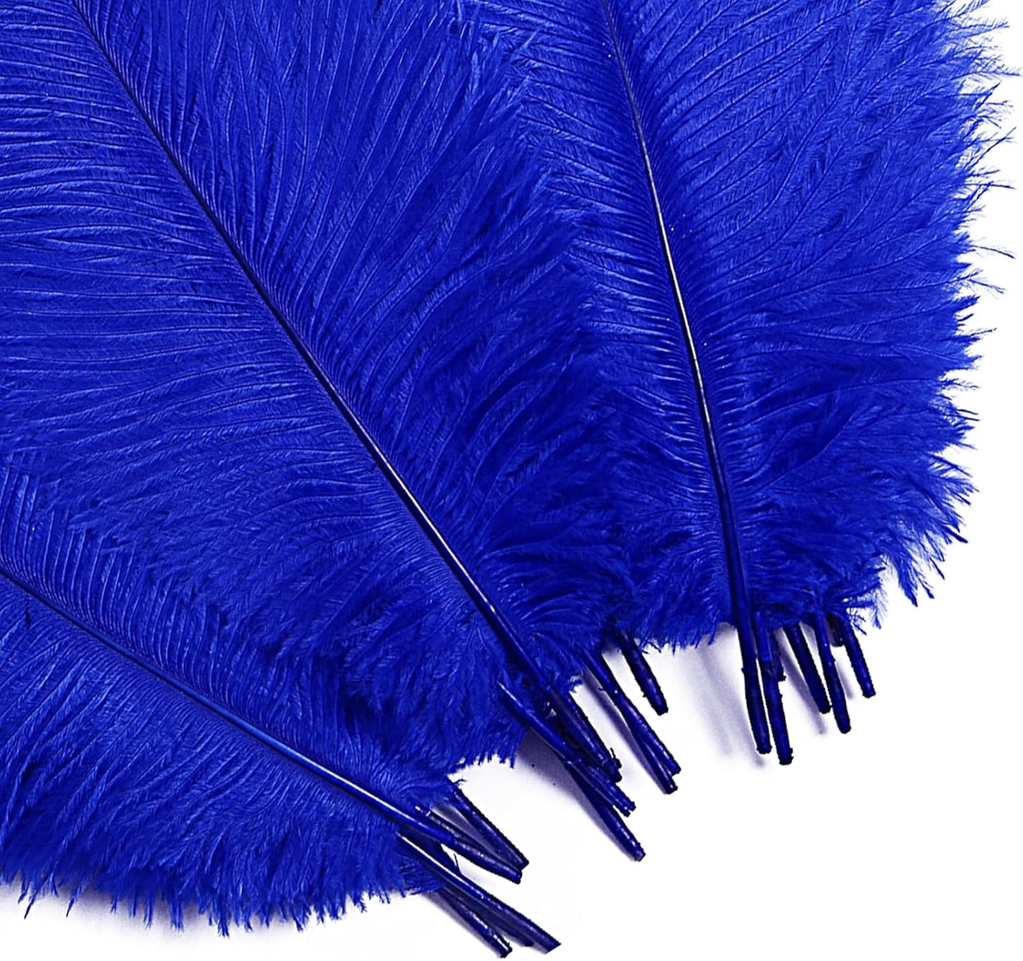 Bulk Royal Blue Ostrich Feathers - 12pcs 12-14inch Crafting Supplies for Centerpiece Table Decorations