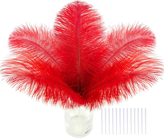SOGUGOM Red Craft Ostrich Feathers - 30PCS 6-8 Bulk Ostrich Feathers Kit for Kindergarten Crafts, Dream Catchers and Party Centerpieces(Red)