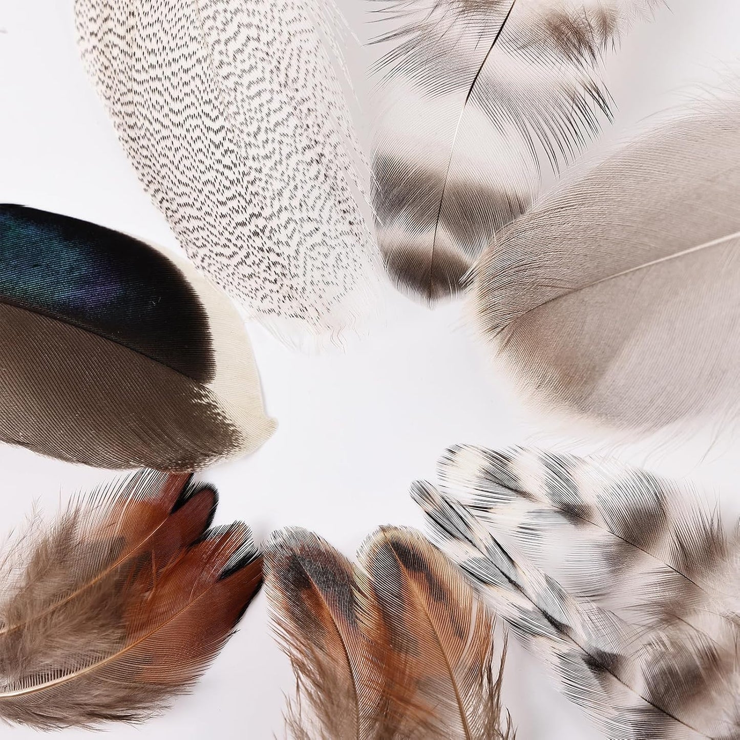 MAOFENG 210pcs 7 Styles Natural Bulk Feathers Assorted Mixed Feathers for DIY Crafts Dream Catcher Wedding Hair Hats Decoration,Guinea Fowl Feathers