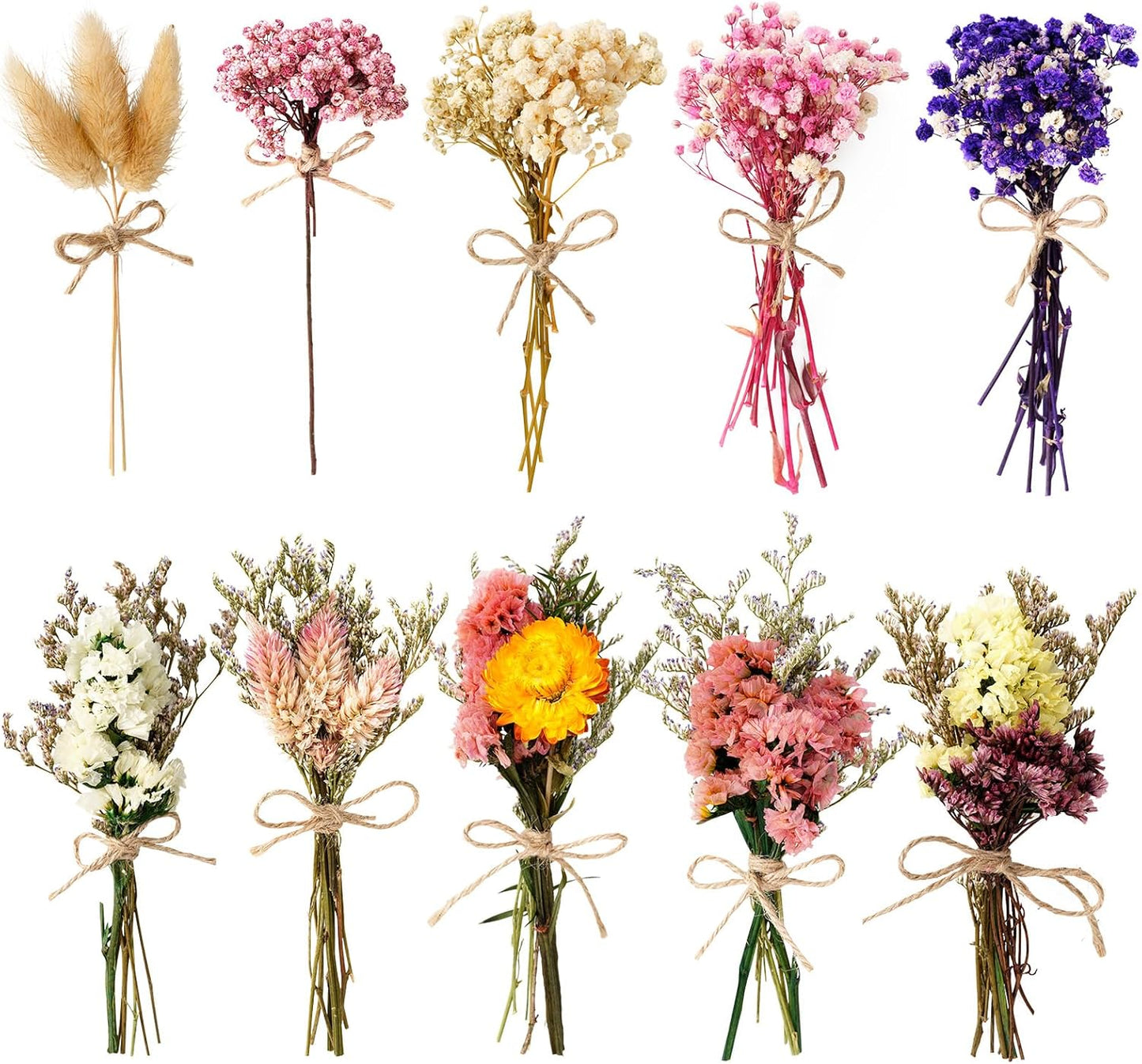 10/12/24/36 Pack Mini Dried Flowers for Vase Wedding Various Mini Bouquet Dried Small Wildflowers Natural Flowers Bulk for Crafts DIY Decor (10, Classic Color2)