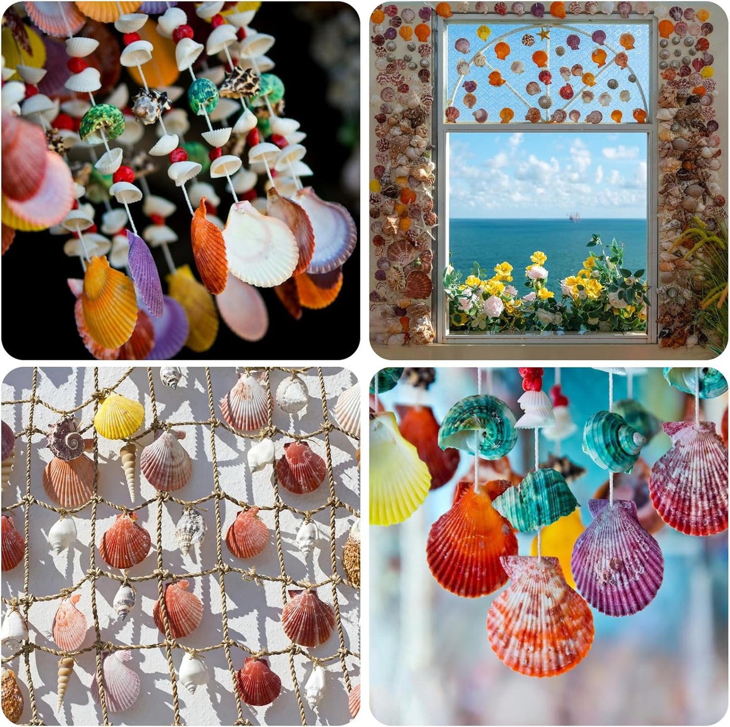 25PCS Sea Shells Scallop Shells Natural White Sea Shells for DIY Craft Crafting,Painting,Baking,Home Decor and Beaching Wedding Decoration (6-8CM) Seashells Bulk