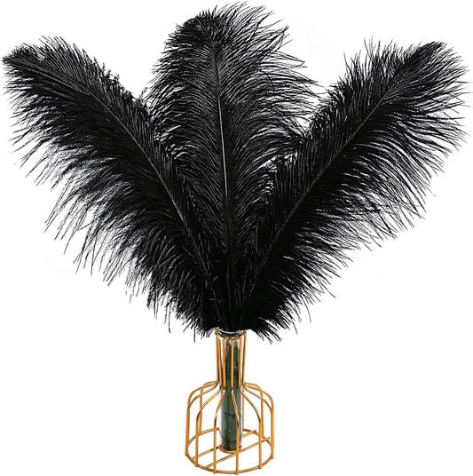THARAHT Black Ostrich Feathers 12pcs Large Natural Bulk 14-16Inch 35cm-40cm for Wedding Party Centerpieces Halloween and Home Decoration Feathers