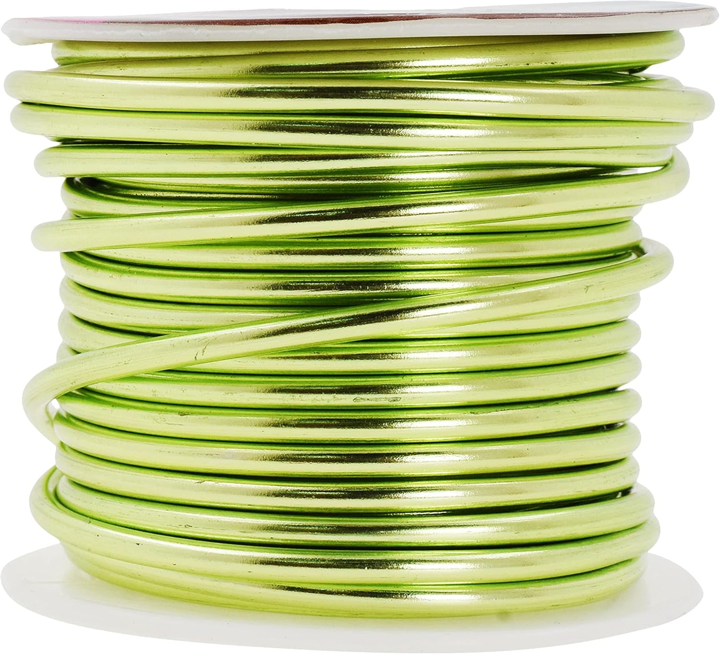 Mandala Crafts 10 Gauge Anodized Aluminum Craft Wire for Jewelry Making - 32 FT Colored Flexible Light Green Wire - Bendable for Bonsai Armature Crafting Sculpting