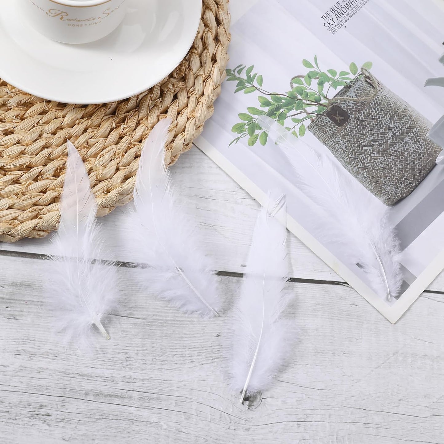 SOGUGOM White Rooster Tail Feathers - 200 pcs 5-7 inch Craft Feathers Bulk for Craft Projects, Halloween, Hats and Cocktail Table Centerpieces(White)