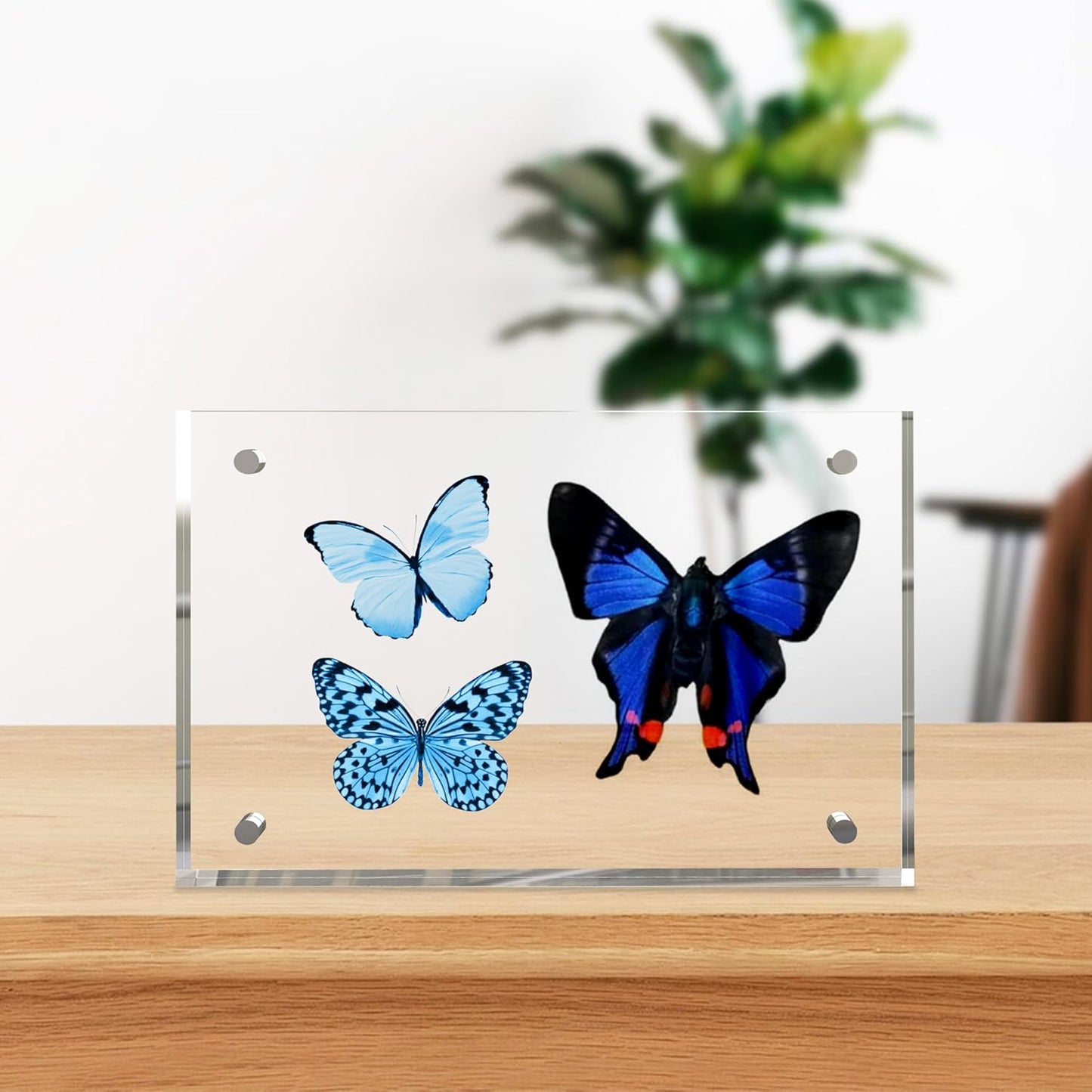 4x6 Inches Acrylic Picture Frames 3 Pack, Double Sided Magnetic Photo Frames,Free Standing on Desk or Table Clear Picture Frames