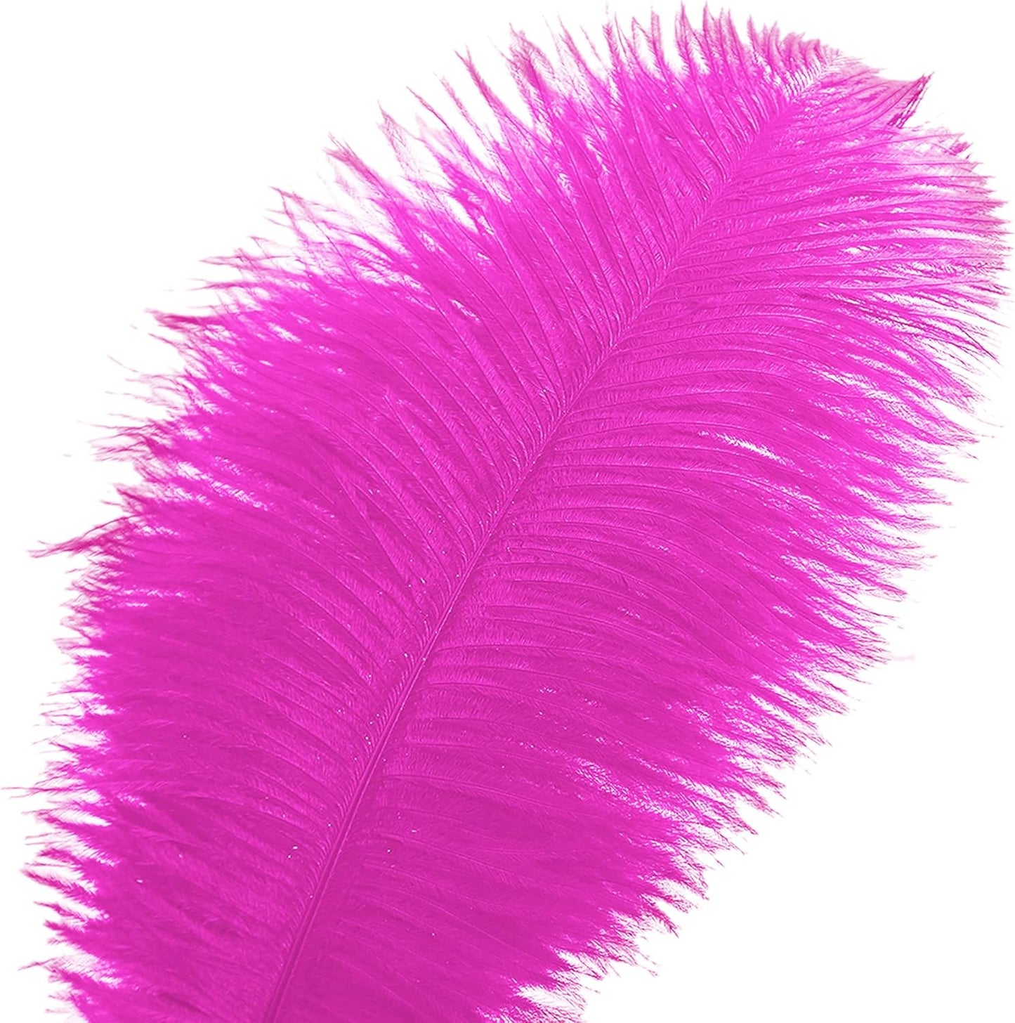 Ballinger Fuchsia Large Ostrich Feathers - 12Pcs 14-16inch Large Feathers for Vase,Theme Party Centerpieces and Holiday Home Decor