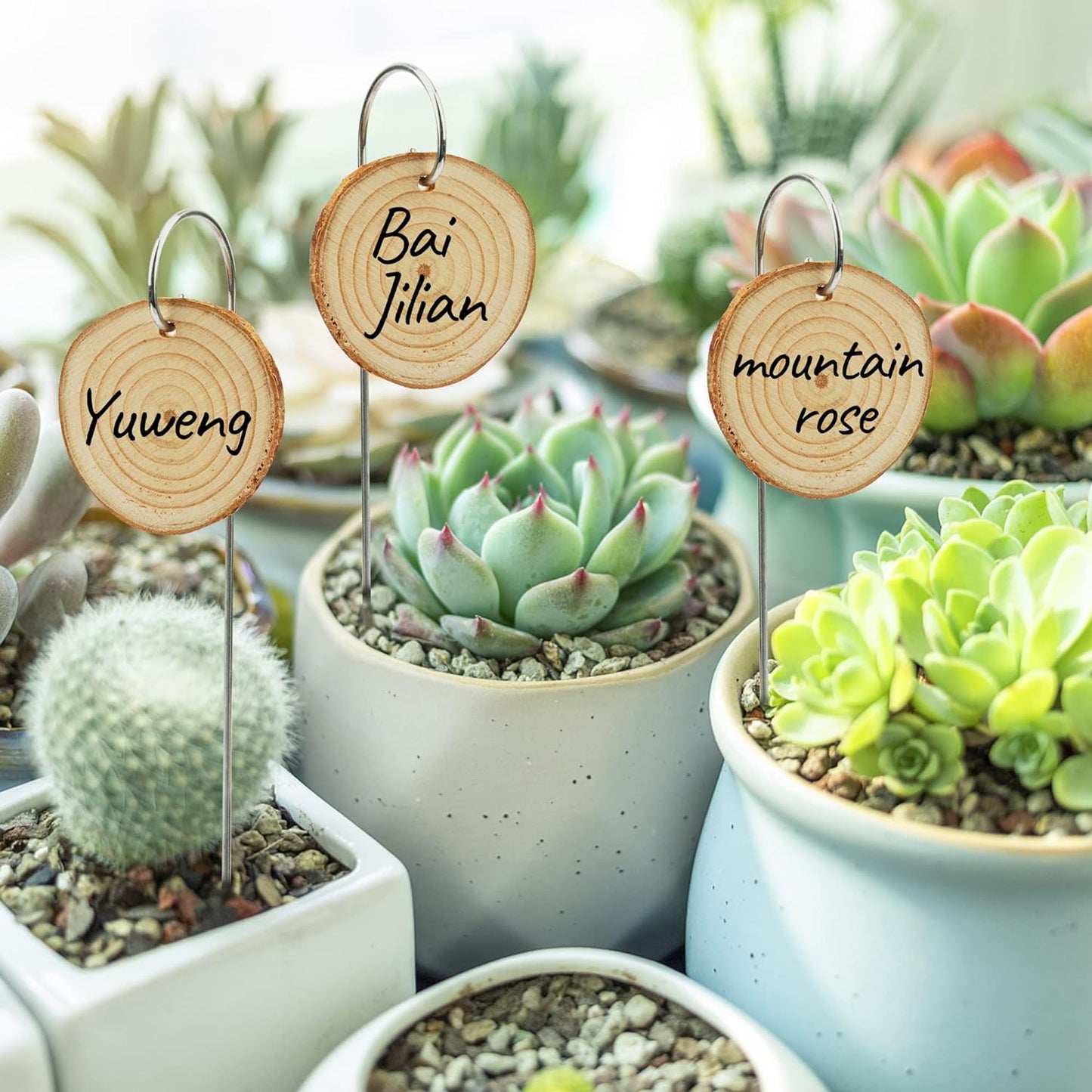 Temlum Wooden Plant Labels with Marker Pen, 25 Pcs Garden Markers Garden Label Stakes Plant Sign Tags for Flowers, Herbs, Potted Plants, Seed