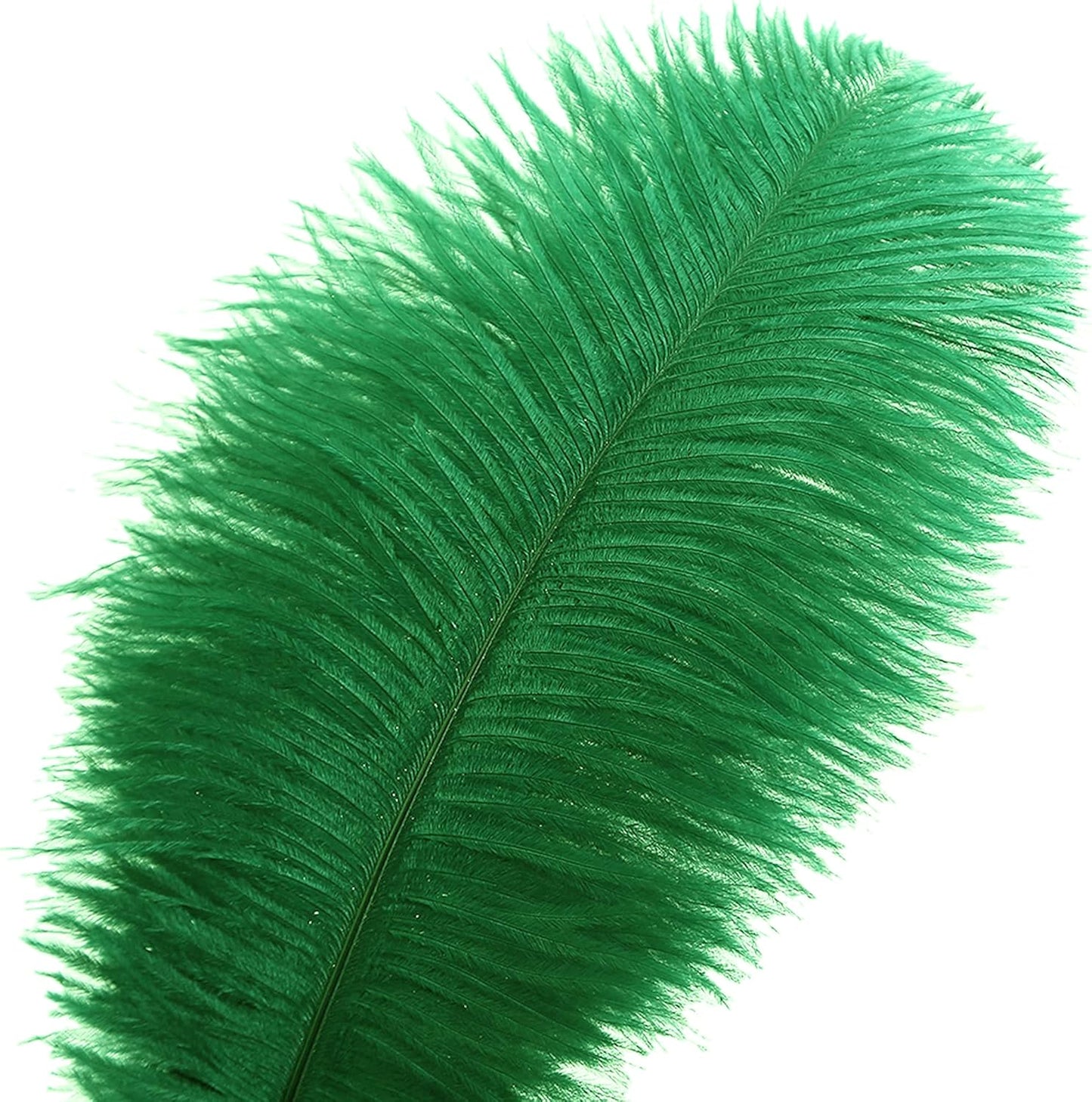 Ballinger Green Ostrich Feathers Bulk - 24pcs 10-12inch Feathers for Vase, Wedding Party Centerpieces Mardi Gras Decorations and Home Decor