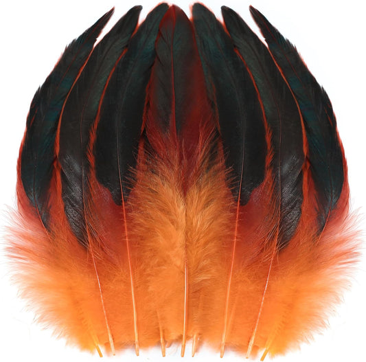 SOGUGOM Orange Rooster Tail Feathers - 200 pcs 5-7 inch Natural Long Rooster Tail Feathers Bulk for Craft Projects, Halloween, Hats and Party(Orange)