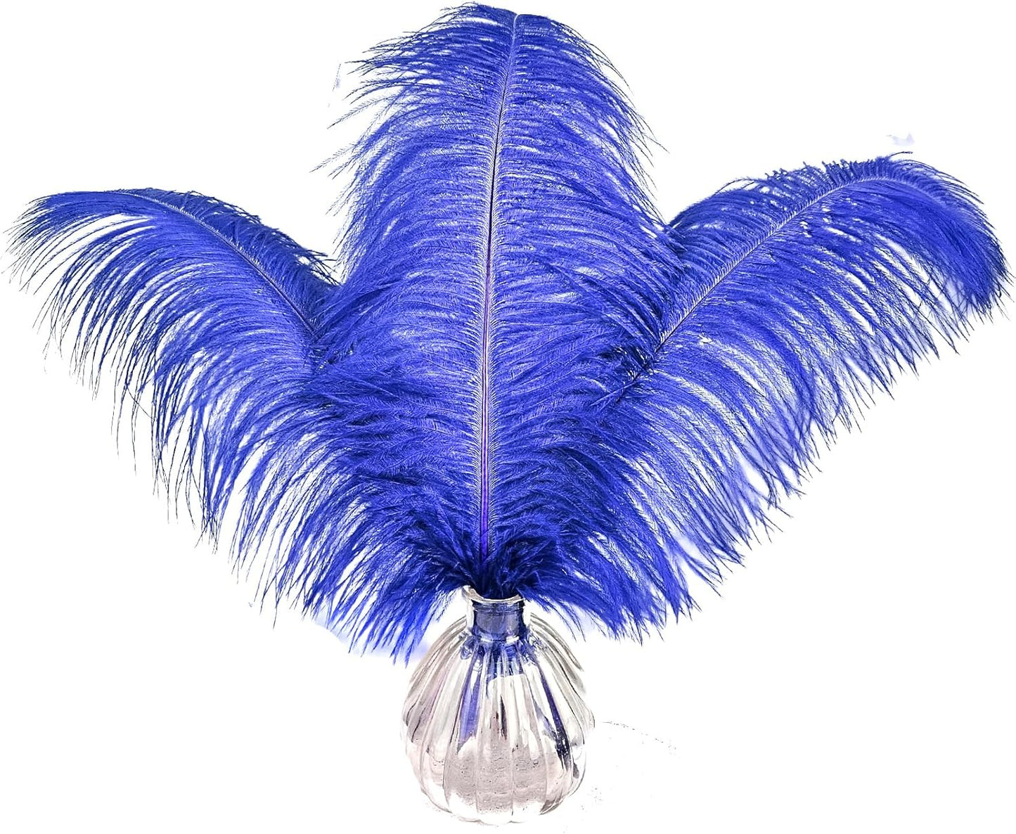 Happy Feather 16-18 inch Royal Blue Ostrich Feathers Craft for Wedding Party Centerpieces Home Decoration DIY Craft Pack of 10