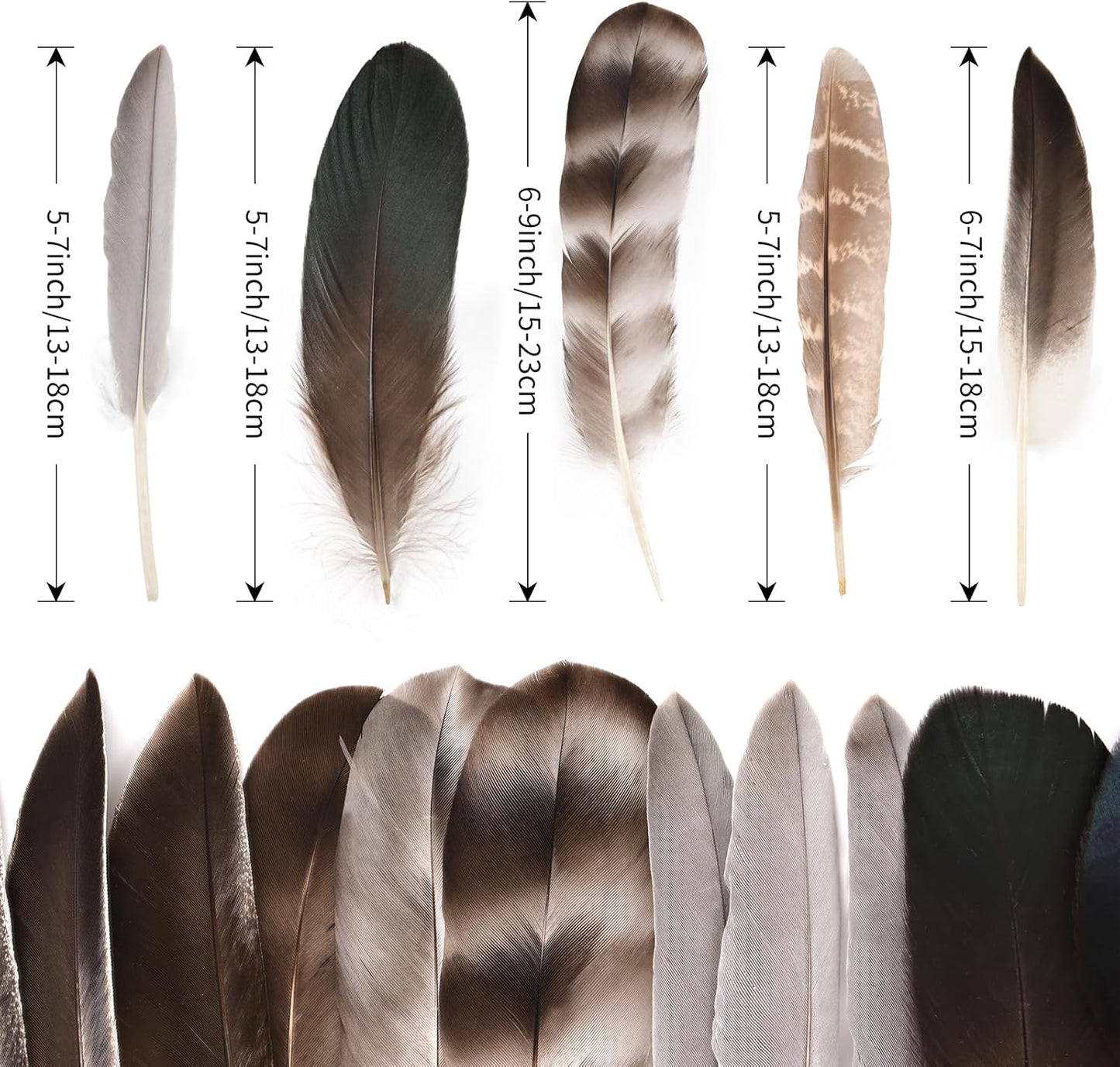 MAOFENG 20pcs Natural Pheasant Feathers 5 Styles 5-9 inches 13-23cm for DIY Craft Wedding Home Party Hat Floral Arrangements Halloween Decorations