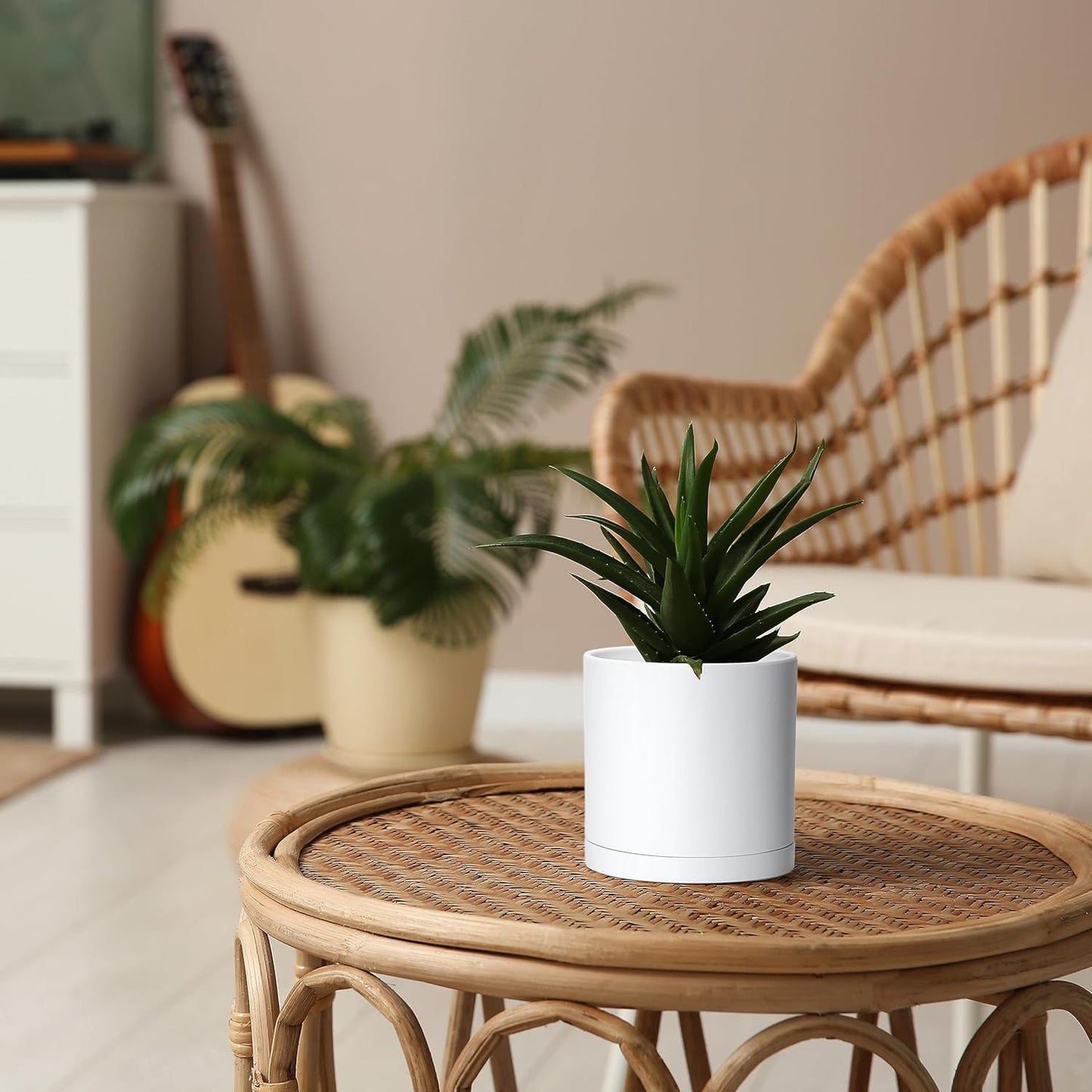 D'vine Dev 4 Pack 5 Inch Modern Plastic Plant Pots, Small Garden Planters for Plant with Drainage Holes and Saucers, White Color, 74-Z-G-2