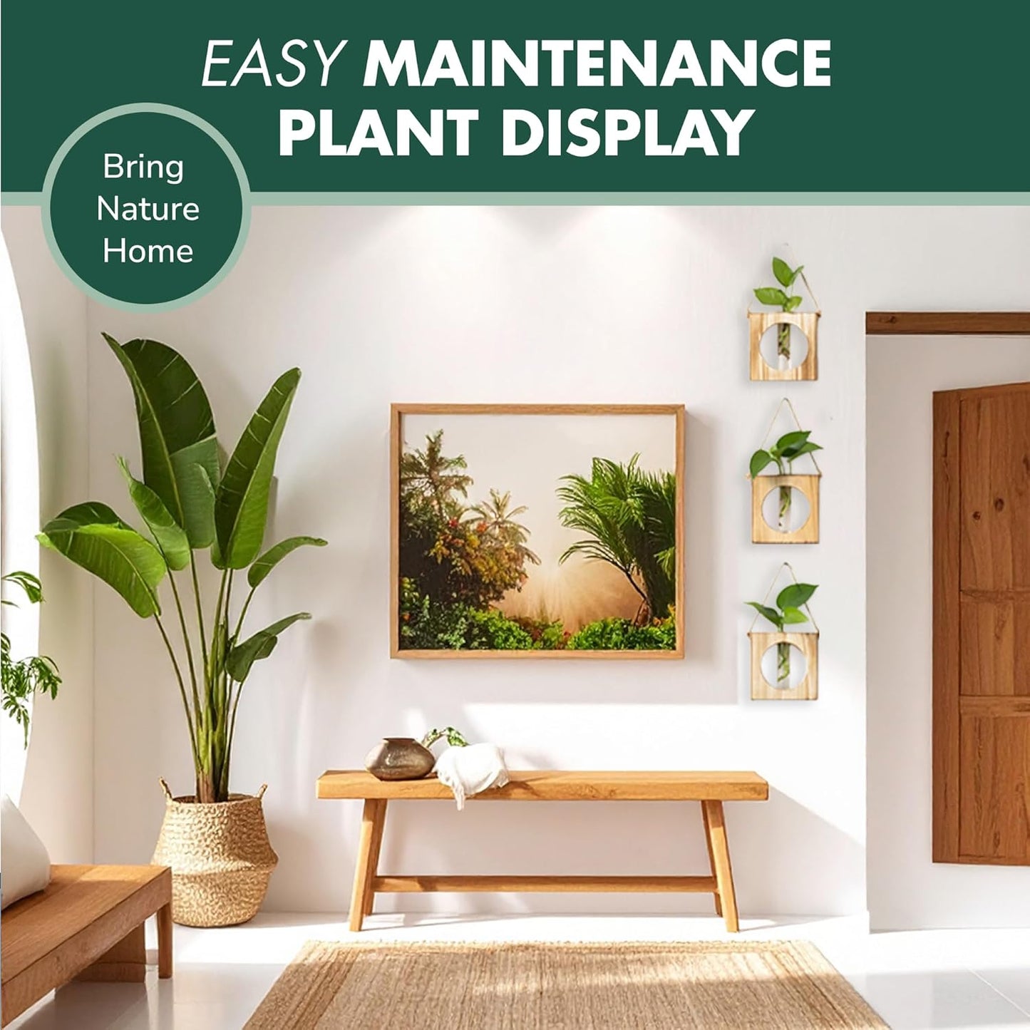 · GARDEN REPUBLIC · Propagation Stations Set of 3 - Propagation Vases for Plants - Hanging Wooden Wall Planter and Glass Test Tubes - Indoor Plant Holder, Hydroponic Decor