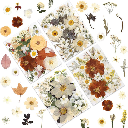 100P Vintage White Dried Flowers for Crafts, Real Natural Pressed Flowers in Retro White Tones for Resin Art, DIY Crafts, Jewelry & Candle Decor – Tweezers Included