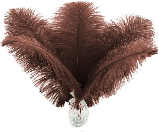 Ballinger Brown Big Ostrich Feathers - 24pcs 12-14inch Large Feathers for Party Centerpieces, Flower Arrangement and Home Decor