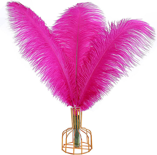 THARAHT Hot Pink Ostrich Feathers 12pcs Large Natural Bulk 12-14Inch 30cm-35cm for Wedding Party Centerpieces Easter Gatsbi and Home Decoration Feathers