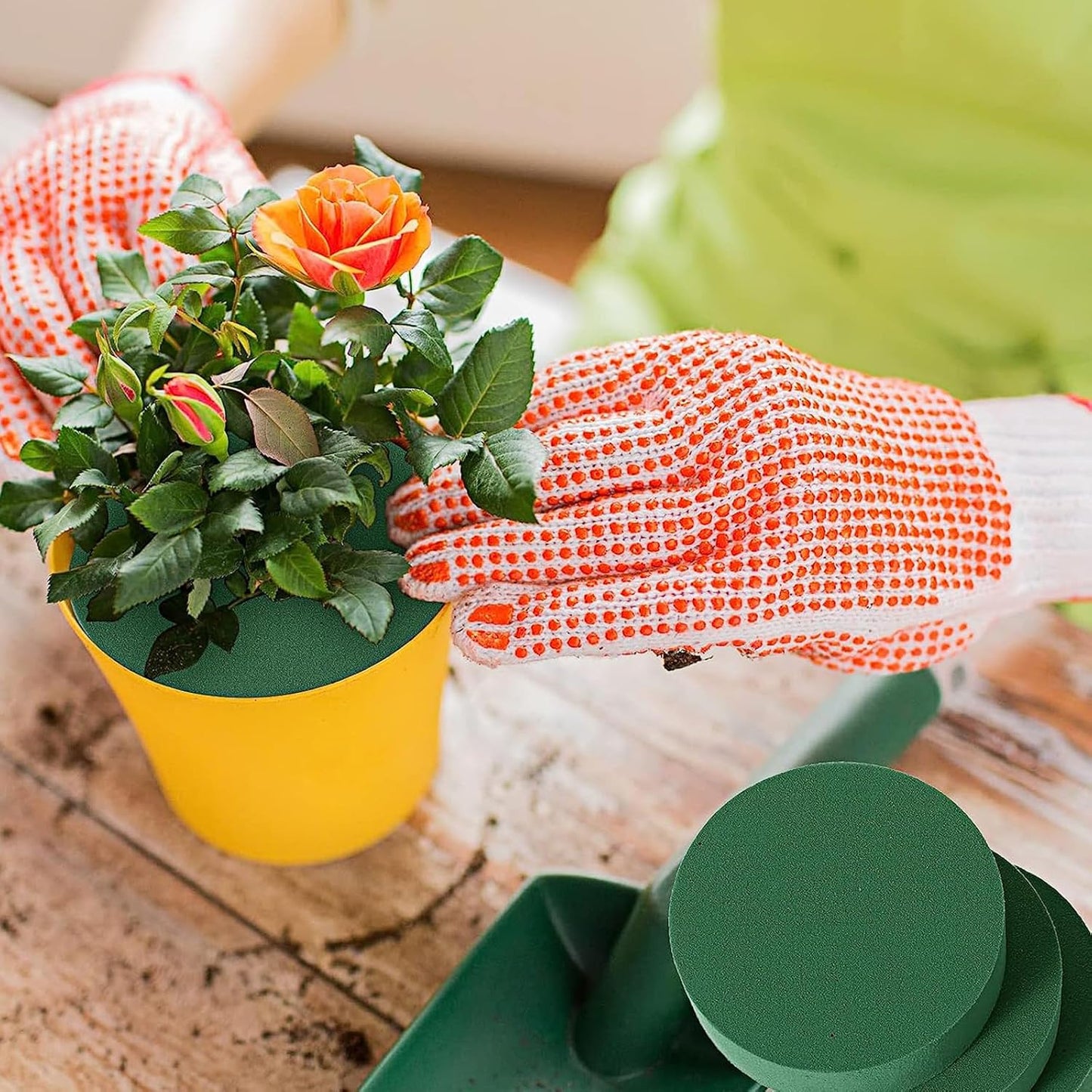 Frienda 6 Pieces Floral Foam Blocks for Artificial Flowers,Thanksgiving Christmas Party Supplies, Dry & Wet Floral Foam Round Kit for Flower Arrangement Wedding Decoration(8 x 1.57 Inch)