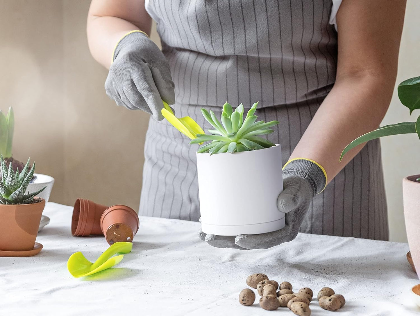 D'vine Dev 4 Pack 4 Inch Modern Plastic Plant Pots, Small Garden Planters for Plant with Drainage Holes and Saucers, White Color, 74-Z-E-2