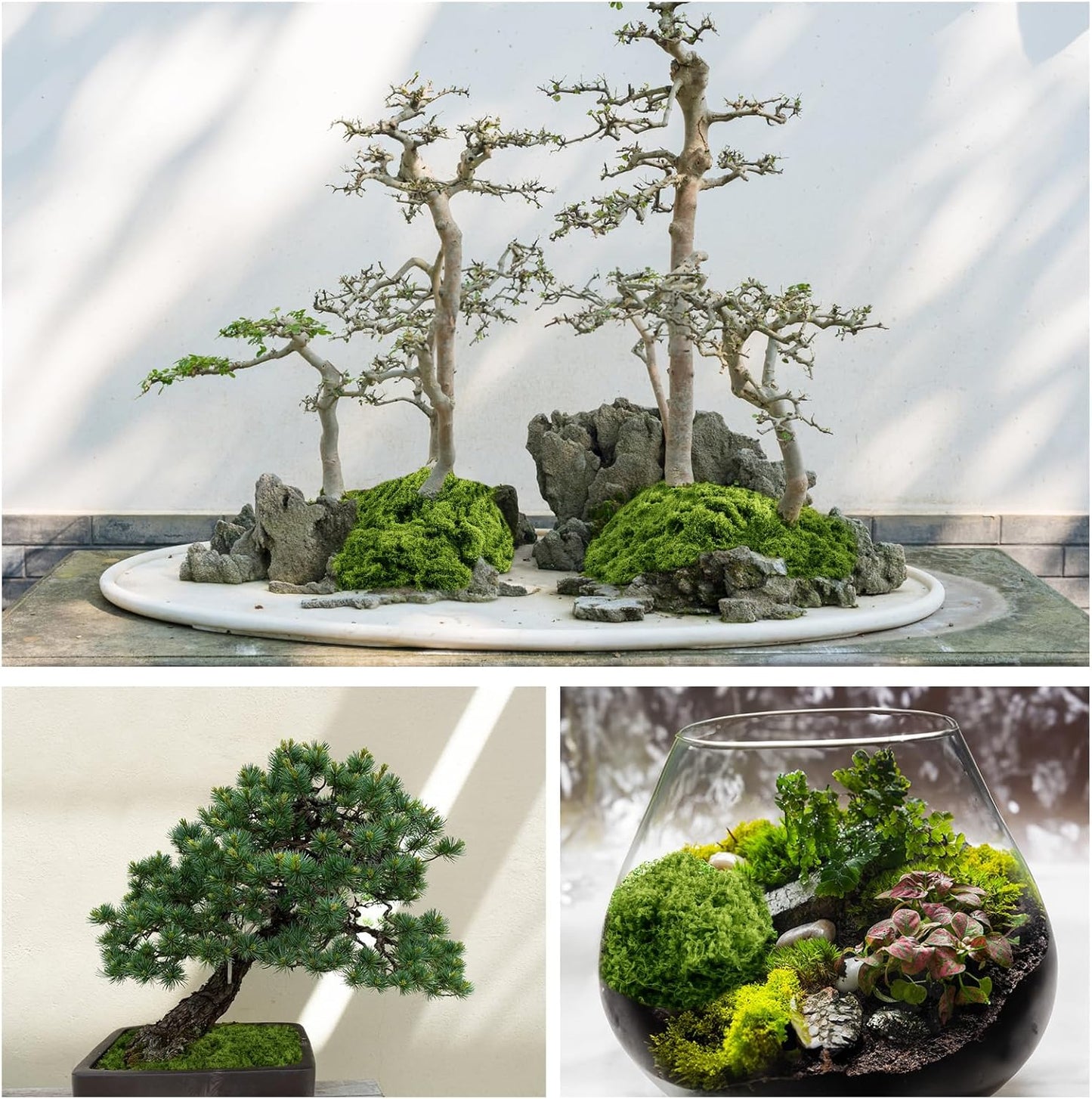 Fake Green Moss for Plants Indoor, 5.3OZ Artificial Moss for Potted Plants Decor, DIY Decorative Moss for Crafts Fairy Garden Floral Wedding Model Making Glass Containers Home (150g)