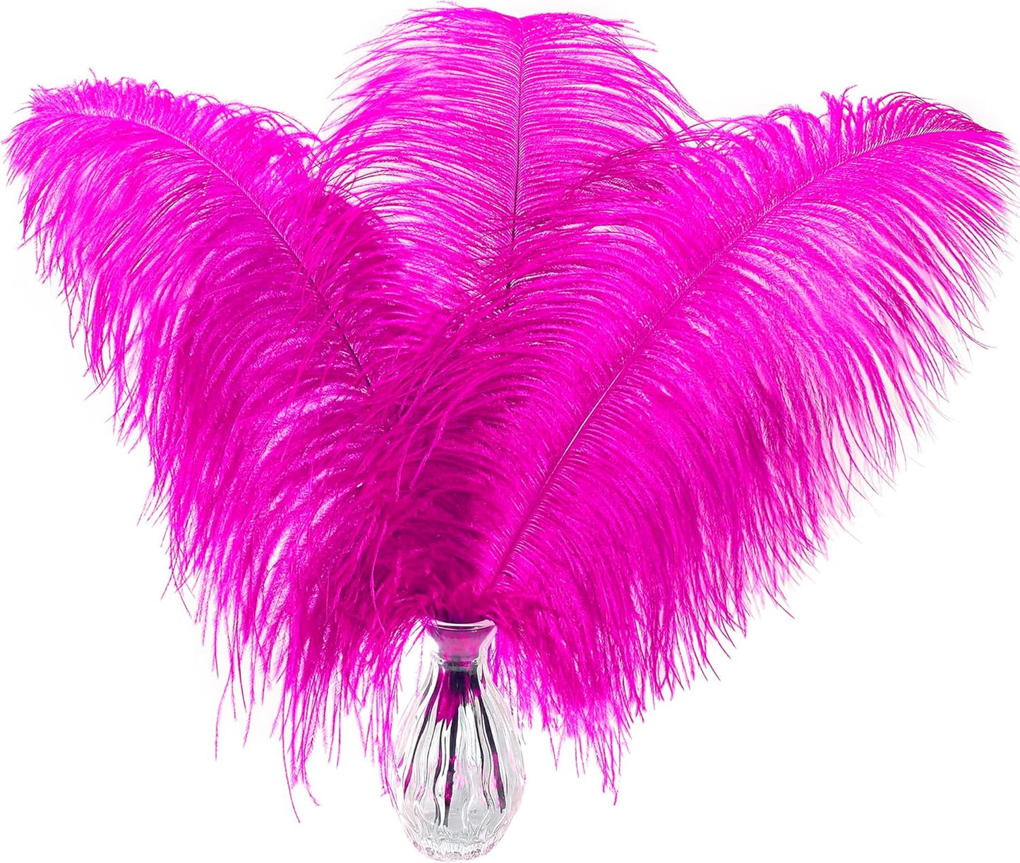 Fuchsia Large Ostrich Feathers Bulk- 16-18 inches 10pcs for Wedding Party Centerpieces,Flower Arrangement and Home Decorations (Fuchsia)