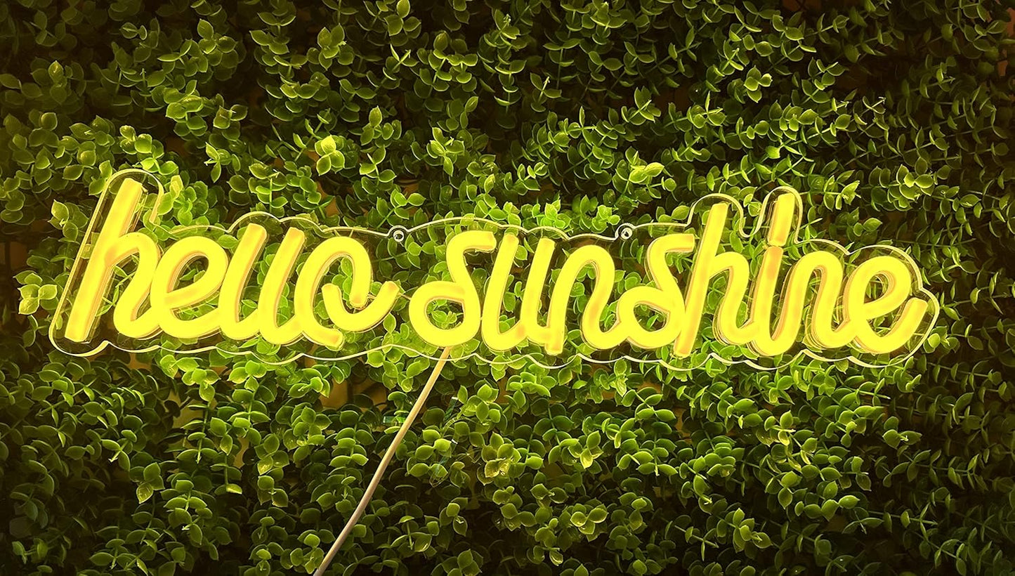 LED Neon Sign Night Light for Wall Party Décor Bedroom Room Bar Wedding Home Birthday Art Decoration Christmas with USB Chain Light modulator 5v (lets party blue)