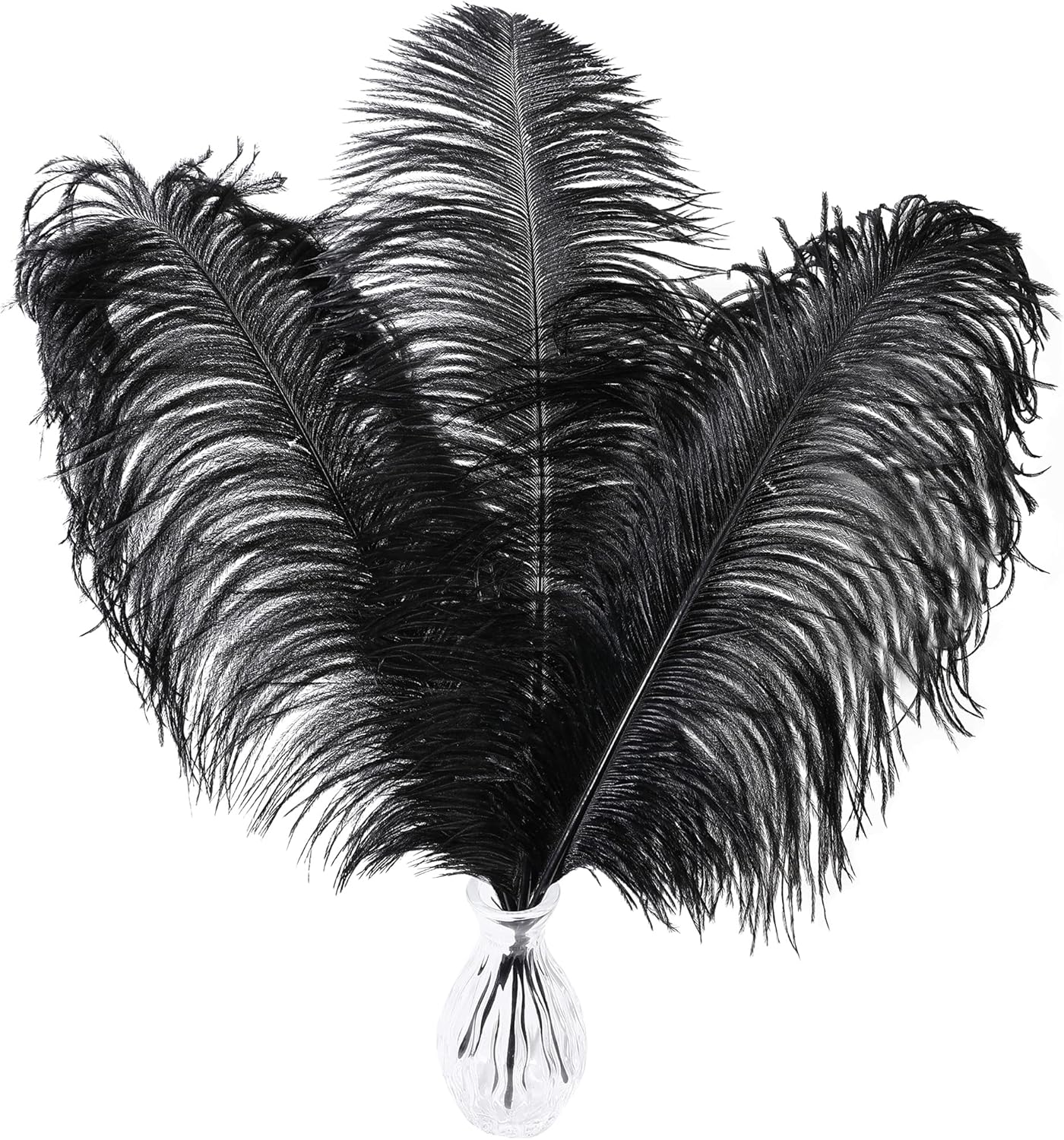 Larryhot Black Ostrich Feathers Bulk - 16-18 inch 10pcs Feathers for Vase,Wedding Party Centerpieces and Home Decorations (Black)
