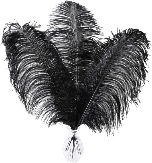 Larryhot Black Ostrich Feathers Bulk - 16-18 inch 10pcs Feathers for Vase,Wedding Party Centerpieces and Home Decorations (Black)