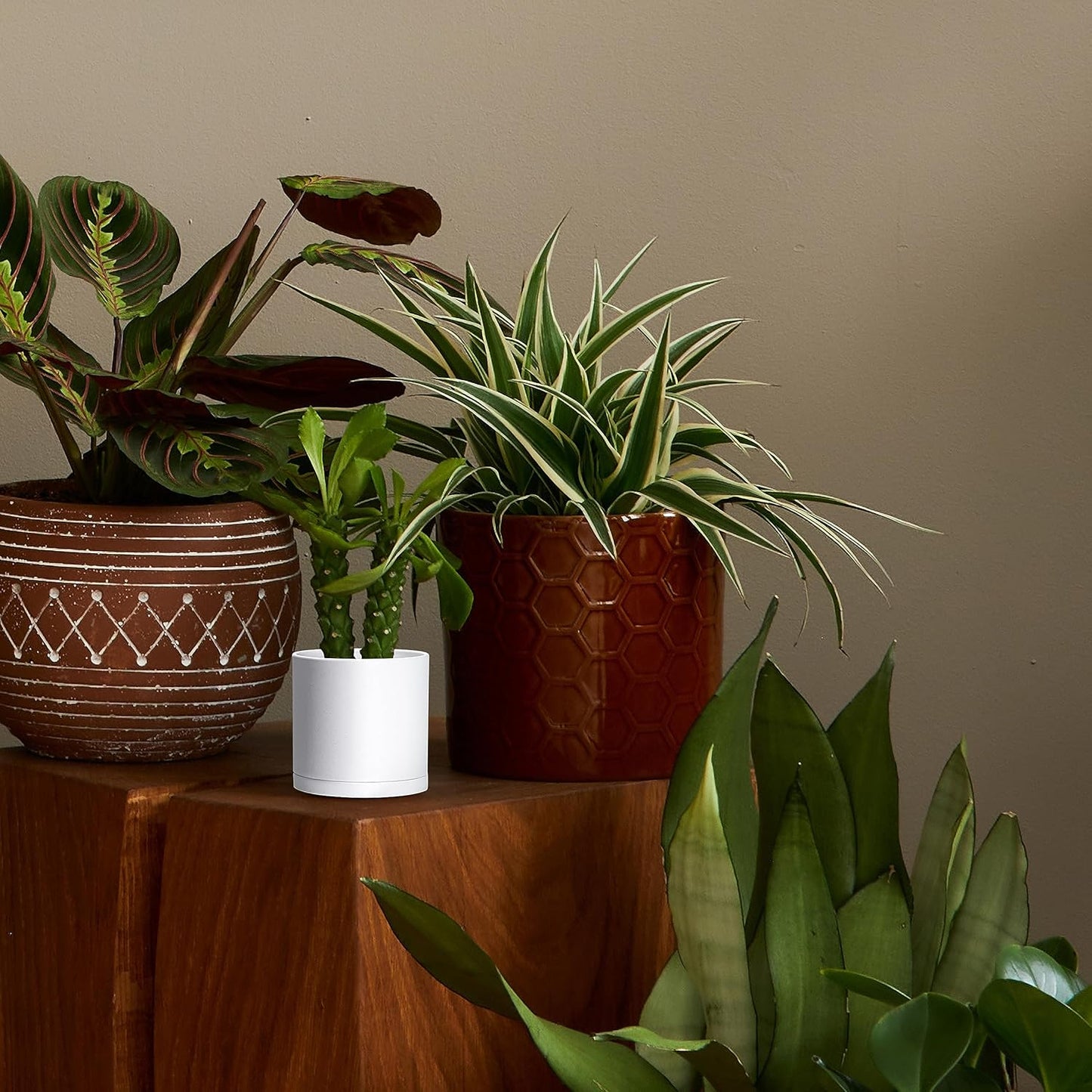 D'vine Dev 4 Pack 4.5 Inch Modern Plastic Plant Pots, Small Garden Planters for Plant with Drainage Holes and Saucers, White Color, 74-Z-F-2