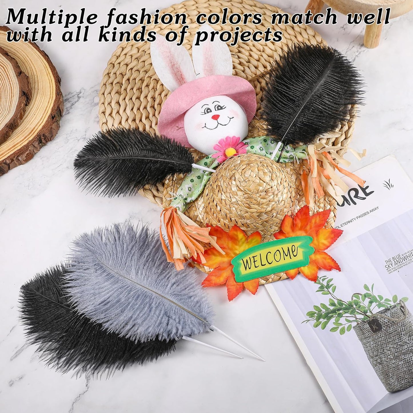 SOGUGOM Black Craft Ostrich Feathers - 30PCS 8-10 inch Ostrich Feathers Kit for Centerpieces, Kindergarten Crafts, Dream Catchers and DIY Projects(Black)